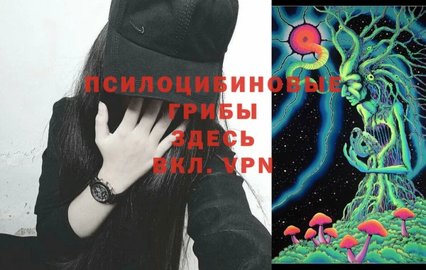 ешки Балахна